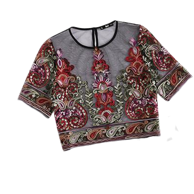 Mesh Embroidery Blouse Applique Sheer Top